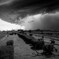 storm・・・・