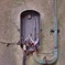 Electric Meter
