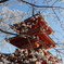 京都