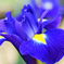 D7K_5850R