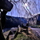 愛車と桜