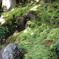DSC00183