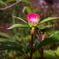 P4286293 (3)