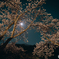 スーパームーンと桜