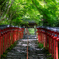 初夏の貴船神社