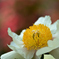 D7K_5929R