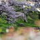 春の日差し
