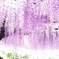 夢の  中で