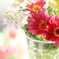 心に花を☆*: .｡.