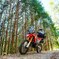 CRF250