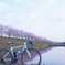 逆桜とtrek2.1