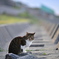 猫背と直線