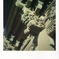 shake29