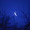 夜明