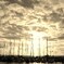 Harbor