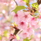 3月