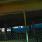 photo_954446