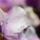 雨の雫