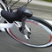 COLNAGO
