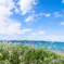 初夏の浜辺