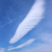 空に託して…。