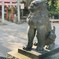 鳩森八幡神社