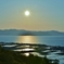 琵琶湖湖辺の水田