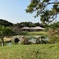 識名園全景