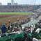 灼熱の甲子園