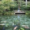 モネの池
