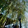 0E153F4E-D2EF-484E-87B1-2B9DE528E501_1_2