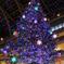 DPP_0001ver2