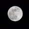 ウエサク蠍座の満月
