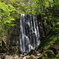90A41493-67F5-4850-B540-6186268C1613