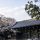 東京散歩_春の情景
