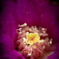 Flower in the Flower