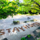 STAYHOME