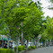DSC01734