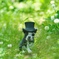 My dog