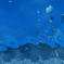 水中の白いバラ