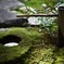 高台寺の庭