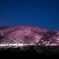 千本桜佐木島