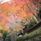 檀林寺の紅葉