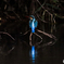Blue Reflection
