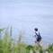 釣り人もチラホラ