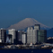 朝日に眩しい横浜ビル街