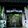 かえる寺の風鈴まつり