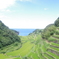夏の棚田