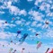 凧揚げ