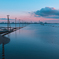 淡色海岸T&O